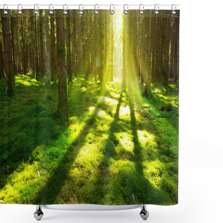 Personality  Bright Sun In The Forest  . Shower Curtains