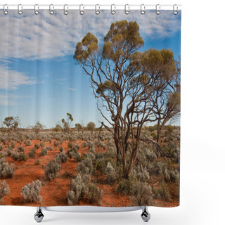 Personality  Australian Landscape Shower Curtains