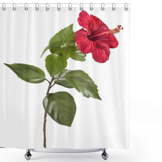 Personality  Painting Of Hibiscus Flower On White Background Shower Curtains