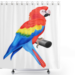 Personality  Colorful Parrot Macaw Isolated On White Background Shower Curtains