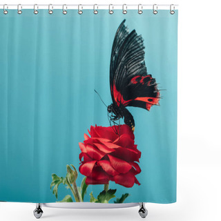Personality  Close Up View Of Beautiful Butterfly On Red Rose Isolated On Blue Shower Curtains