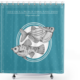 Personality  Great Encyclopedia Of Animal Planet Earth, Vintage Fishes Illustration Shower Curtains