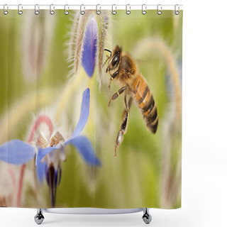 Personality  Flying Bee Pollinating A Blue Flower In Summer Shower Curtains
