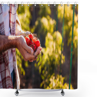 Personality  Farmer Holding Tomatoes Shower Curtains