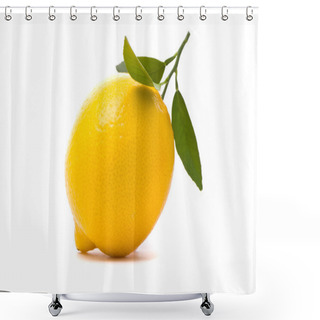 Personality  Lemon With Fresh Leaves. Macro Shot Shower Curtains