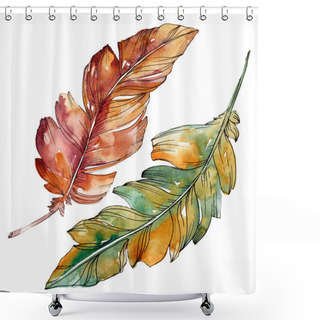 Personality  Colorful Bird Feather From Wing Isolated. Watercolor Background Illustration Set. Isolated Feather Illustration Element. Shower Curtains