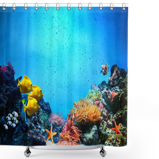 Personality  Underwater Scene. Coral Reef, Fish Groups In Clear Ocean Water Shower Curtains