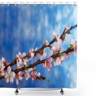 Personality  Peach Branch In Full Bloom Shower Curtains