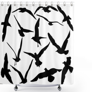 Personality  Flying Sea-gulls Vector Illustration Shower Curtains