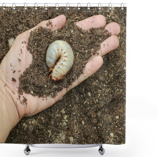Personality  Image Of Grub Worms In The Human Hand. Shower Curtains