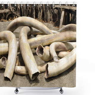 Personality  Ivory Tusks Shower Curtains