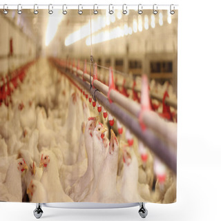 Personality  Chicken Farm, Poultry Production Shower Curtains