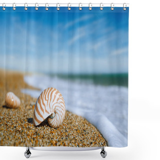 Personality  Nautilus Shell Shower Curtains