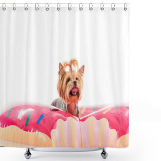Personality  Yorkshire Terrier Sitting On Doughnut Swim Ring Isolated On White Shower Curtains