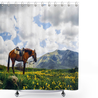 Personality  Lonely Horse On Beautiful Flowery Hill, Armenia Shower Curtains