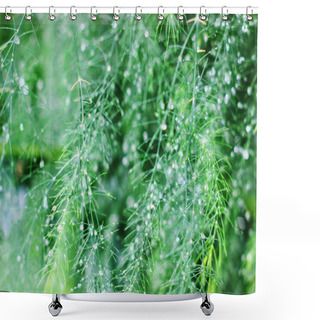 Personality  Flower, Bloom, Green, Wormwood, Texture, Tone, Splash, Drawing, Flower, Bloom, Green, Wormwood, Texture, Tone, Splash, Drawing, Chamomile, Bee, Flora, Fauna Shower Curtains
