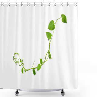 Personality  Floral Desaign. Twisted Jungle Vines Liana Plant With Heart Shaped Green Leaves Isolated On White Background, Clipping Path Included. Shower Curtains
