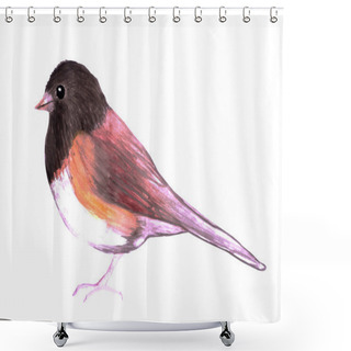 Personality  Dark Eyed Junco Or Junco Hyemalis Isolated On White Shower Curtains