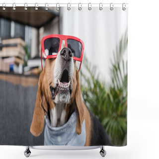 Personality  Beagle Dog In Sunglasses Shower Curtains