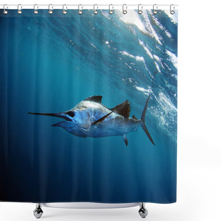 Personality  Sailfish Underwater In Blue Water Shower Curtains