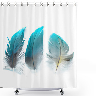 Personality  Bird Feathers Ioslated Shower Curtains