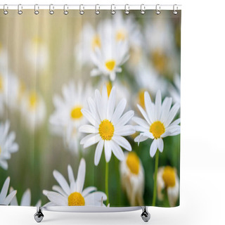 Personality  The Yellow Orange Butterfly Is On The White Pink Flowers In The Green Grass Fields Shower Curtains