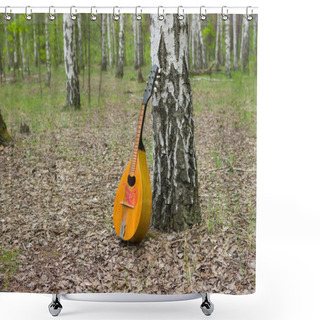 Personality  Lonely Mandolin Lost In A Birch Forest Shower Curtains