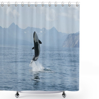 Personality  Killer Whale High Jump Shower Curtains