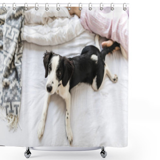 Personality  Overhead View Of Adorable Black And White Puppy Lying On Bed Shower Curtains