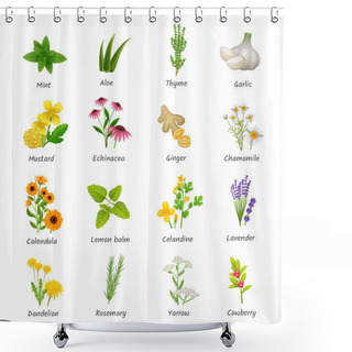 Personality  Medicinal  Herbs Plants Flat Icons Set Shower Curtains