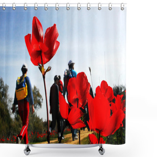 Personality  Anemone Red Flower Blossoming Shower Curtains