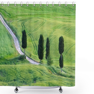Personality  Tuscany Cypress Trees With Track Shower Curtains