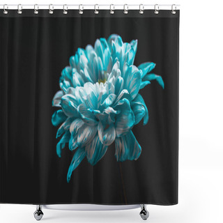 Personality  Close Up Of Blue And White Flower, Isolated On Black Shower Curtains