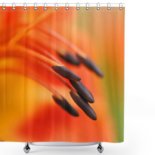 Personality  Macro Stamens Of Orange Lily Shower Curtains
