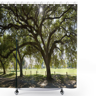 Personality  Houston Hermann Park Marvin Taylor Trail Shower Curtains