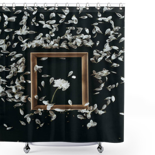 Personality  Top View Of Wooden Frame With Daisy And Petals Isolated On Black Shower Curtains