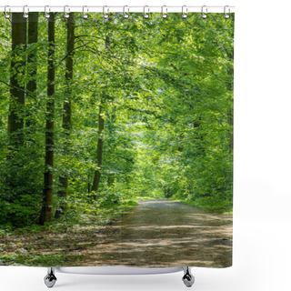 Personality  Scenic Path Through Dense Forest With Green Oak Trees Shower Curtains