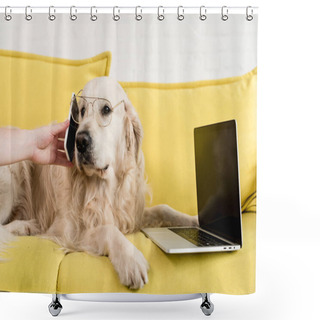 Personality  Cropped View Of Woman Holding Smartphone And Golden Retriever In Glasses Lying On Yellow Sofa Shower Curtains