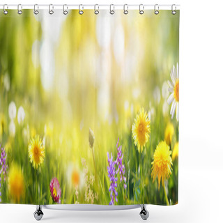 Personality  Beautiful Colorful Summer Spring Natural Flower Background In The Form Of A Banner. Wildflowers And Yellow Dandelions On A Bright Sunny Day With Beautiful Bokeh. Shower Curtains