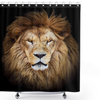 Personality  Portrait Of Huge Beautiful Male African Lion Against Black Backg Shower Curtains
