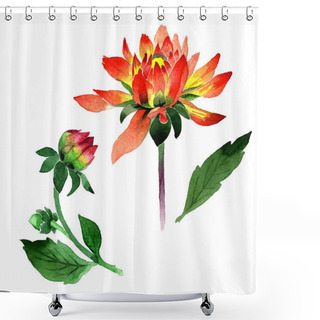 Personality  Wildflower Dahlia Flower In A Watercolor Style Isolated. Shower Curtains