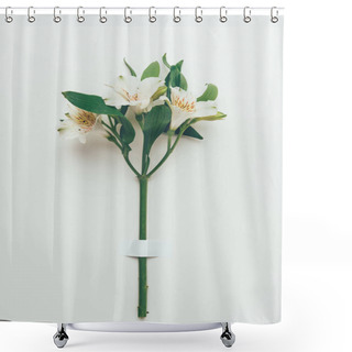 Personality  Close-up View Of Beautiful Tender Lily Flowers With Green Leaves On Twig On Grey Shower Curtains