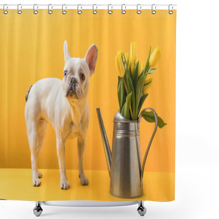 Personality  Dog Standing Near Watering Can With Beautiful Yellow Tulip Flowers On Yellow Shower Curtains