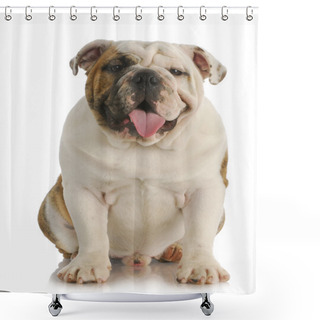 Personality  Cute Dog Shower Curtains
