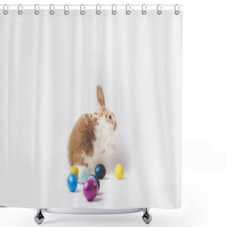 Personality  Side View Of Bunny And Painted In Different Colors Eggs, Easter Concept Shower Curtains