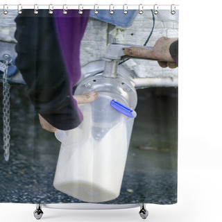 Personality  Jar Of Fresh Milk In Cow Milking Facility Shower Curtains