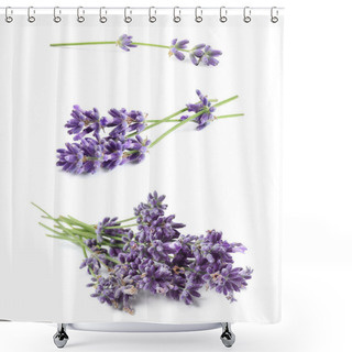 Personality  Set Of Lavender Flowers On White Background Shower Curtains