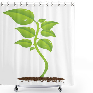 Personality  Growing Plant Shower Curtains