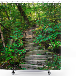 Personality  Woods Stair Shower Curtains