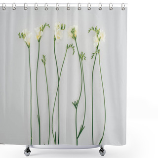 Personality  Blooming Freesia Flowers Isolated On Grey Shower Curtains